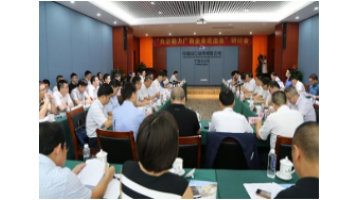 博世科參加“央企助力廣西企業(yè)走出去”研討會