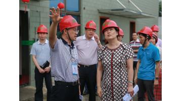 南寧市委常委、副市長(zhǎng)陳穎一行蒞臨公司調(diào)研