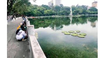 “蛙來了”~聽說這波操作賊可愛！