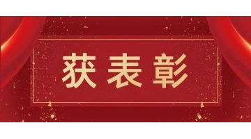 博世科榮獲“2020年百色市新冠肺炎后備應急醫(yī)院項目建設工作先進集體”