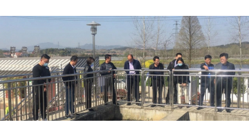 湖北省住建廳總工程師談華初一行蒞臨博世科項目調(diào)研