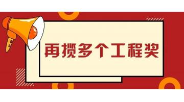 贊！博世科參建的多個(gè)項(xiàng)目榮獲優(yōu)質(zhì)工程獎(jiǎng)
