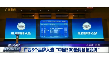 【媒體聚焦】博世科作為環(huán)保產業(yè)唯一一家企業(yè)入選2022年中國500最具價值品牌
